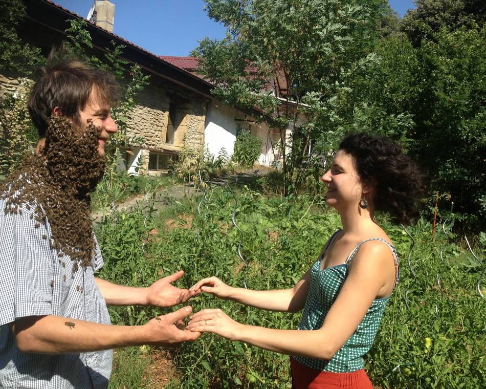 Les ruchers de Saint Joseph