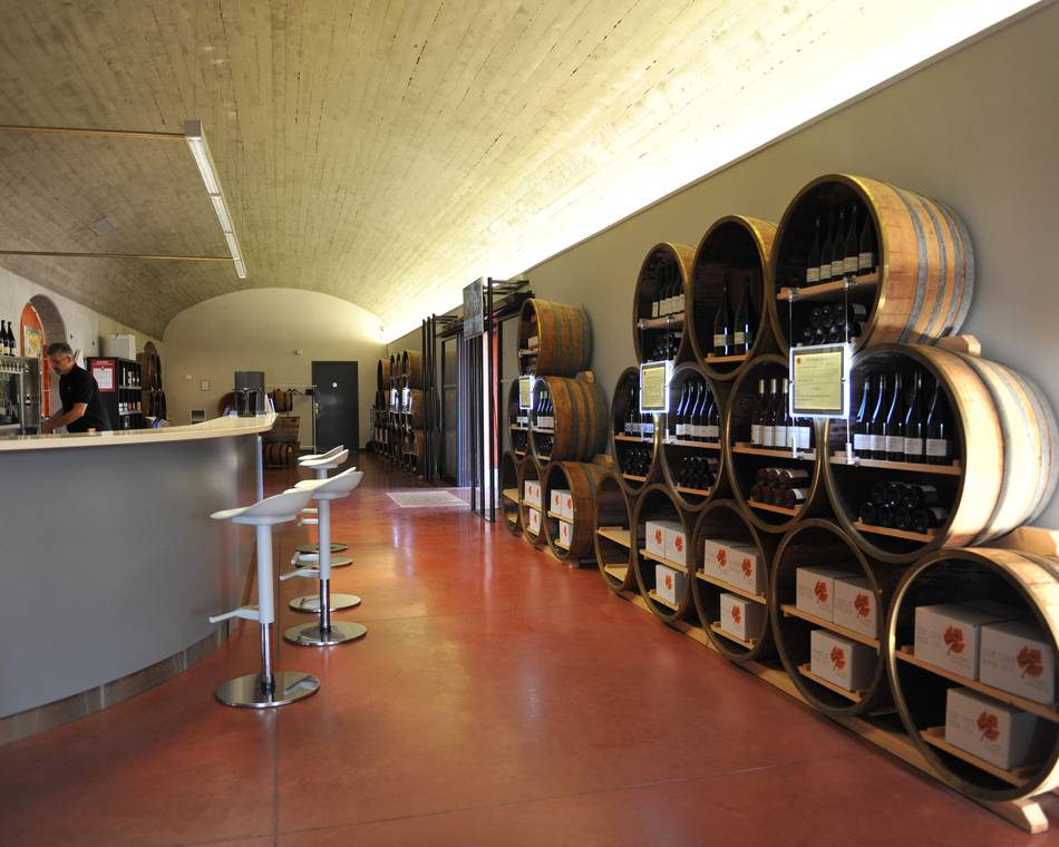 Guided tour and wine tasting at Pradelle cave