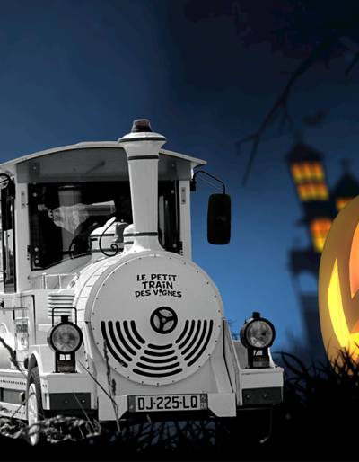 image-Petit train fantôme dans les vignes de l'Hermitage
