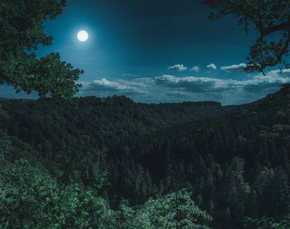 Bather'night Trail