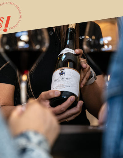 image-Visite de nos vignes et dégustation en accords mets et vins - Maison M. CHAPOUTIER