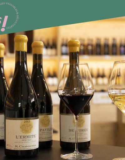 image-Visite de nos vignes et dégustation en accords mets et vins - Maison M. CHAPOUTIER