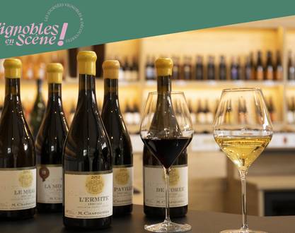 Visit of our wineyards and wine tasting - Maison M. CHAPOUTIER