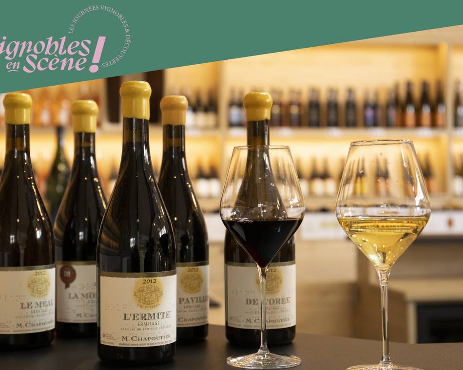 Visite de nos vignes et dégustation en accords mets et vins - Maison M. CHAPOUTIER
