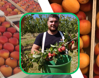 Maison de l'abricot - Gobert, le fruit de 4 générations