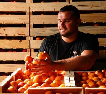 image-Maison de l'abricot - Gobert, le fruit de 4 générations
