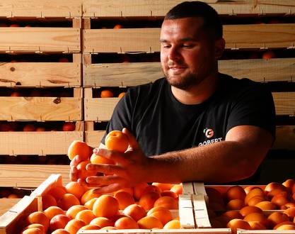 Maison de l'abricot - Gobert, le fruit de 4 générations
