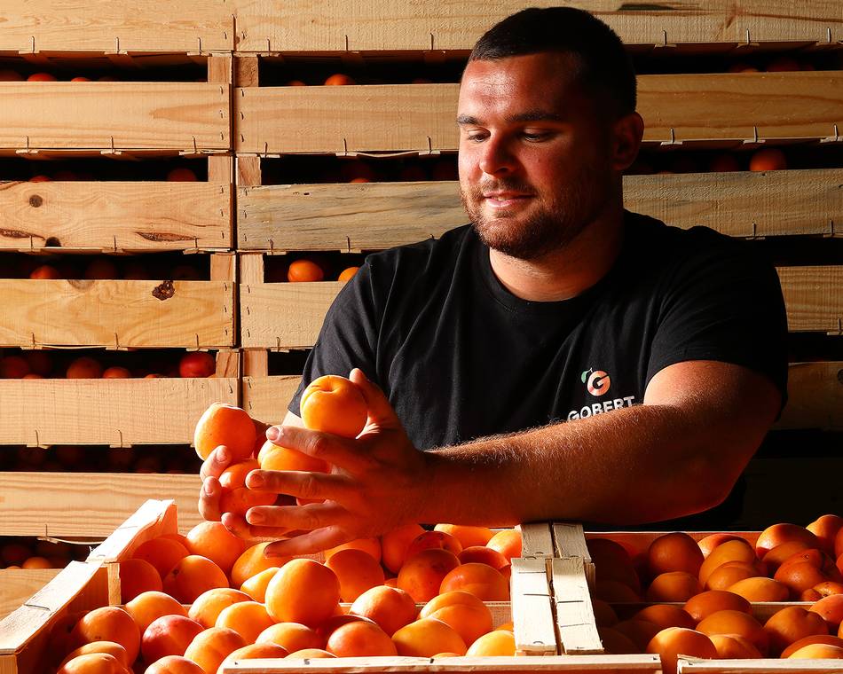 Maison de l'abricot - Gobert, le fruit de 4 générations