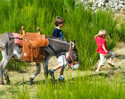 Above the Rhône Valley, Ardèche with your family