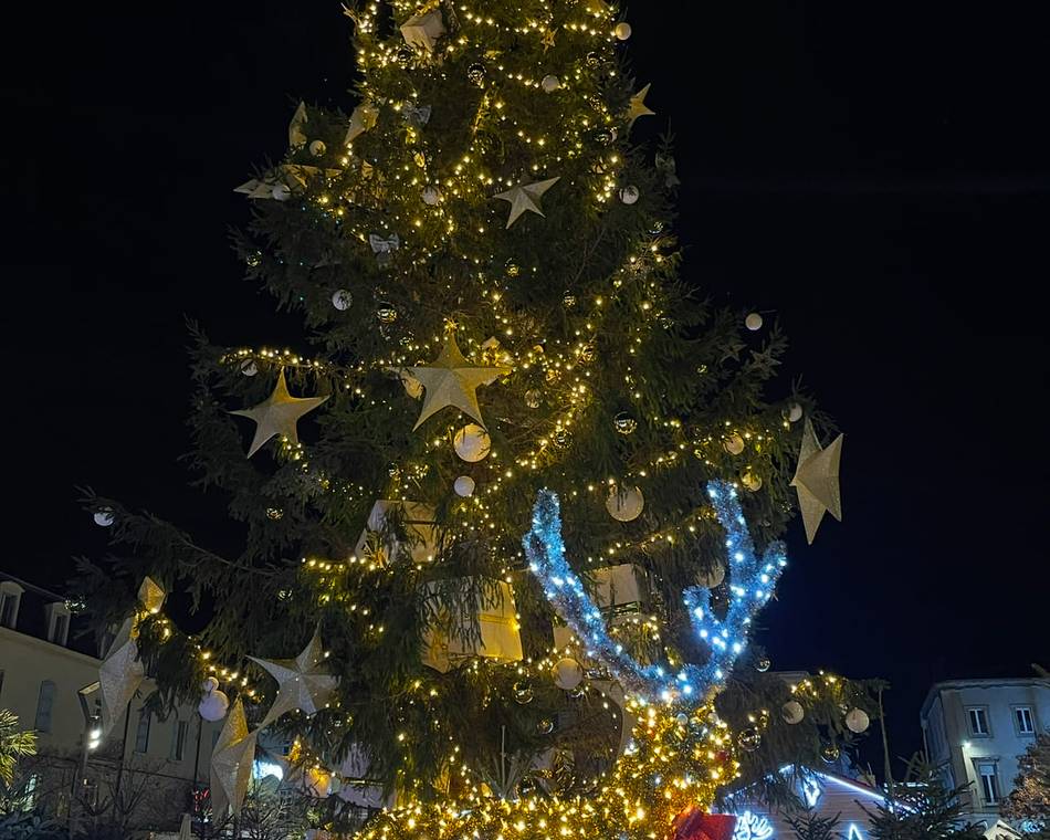 Marché de Noël de Tain l'Hermitage  - Tain  Etincelle