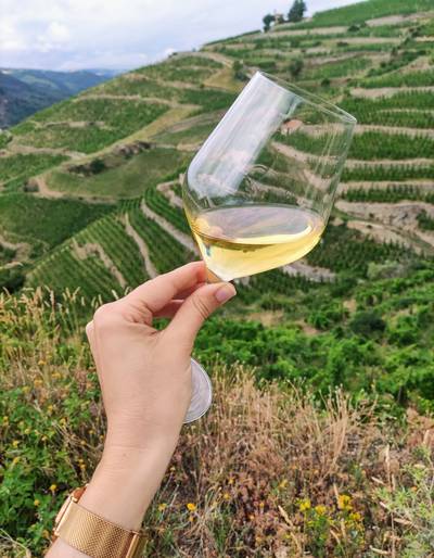 image-Apéro-vignes