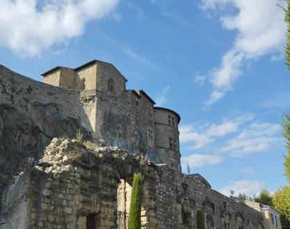 Visites guidées estivales - Château-musée Tournon