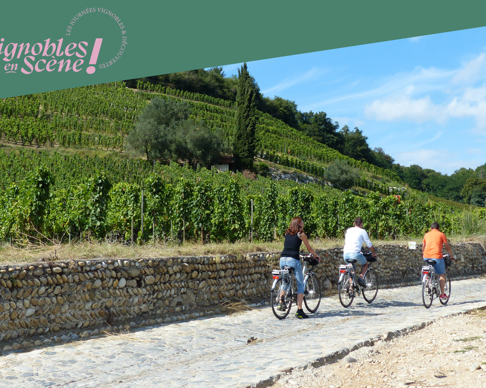 EBike ride - Maison M. CHAPOUTIER