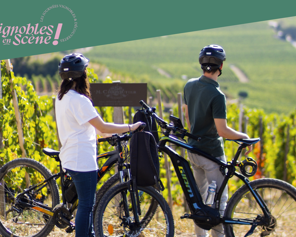 Balade en vélo à assistance éléctrique - Maison M. CHAPOUTIER