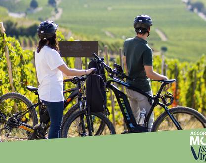 Balade en vélo à assistance éléctrique - Maison M. CHAPOUTIER