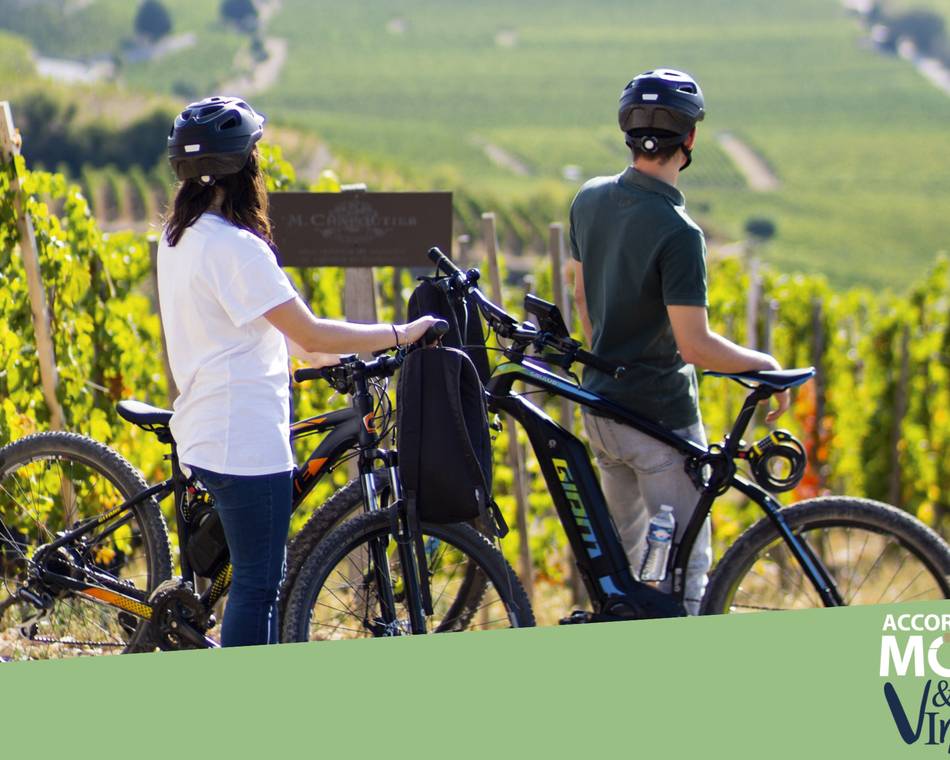 Balade en vélo à assistance éléctrique - Maison M. CHAPOUTIER