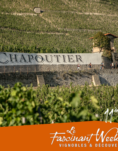 image-Visite des vignes M. CHAPOUTIER