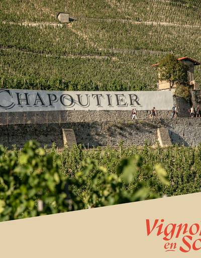 image-Visite des vignes & dégustation - Maison M. CHAPOUTIER