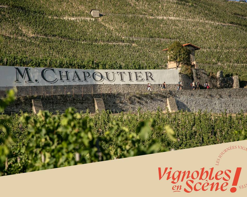 Visite des vignes & dégustation - Maison M. CHAPOUTIER