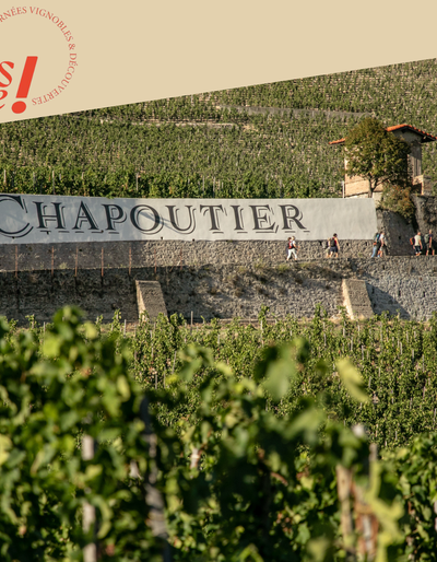 image-Visite des vignes & dégustation - Maison M. CHAPOUTIER