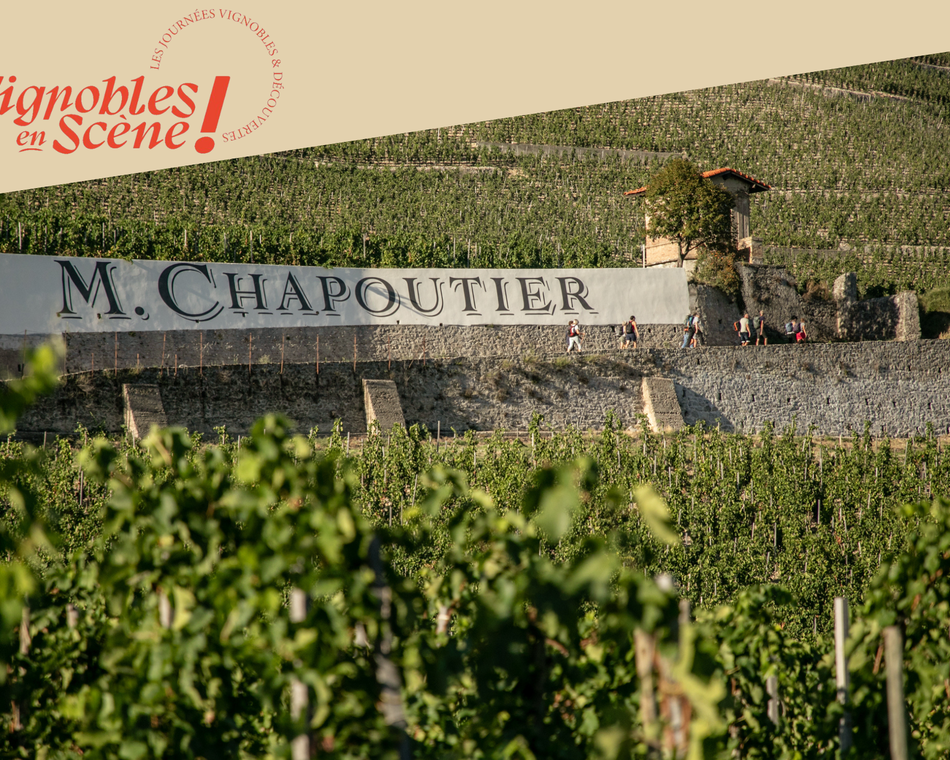 Visit to the vineyards & tasting - Maison M. CHAPOUTIER