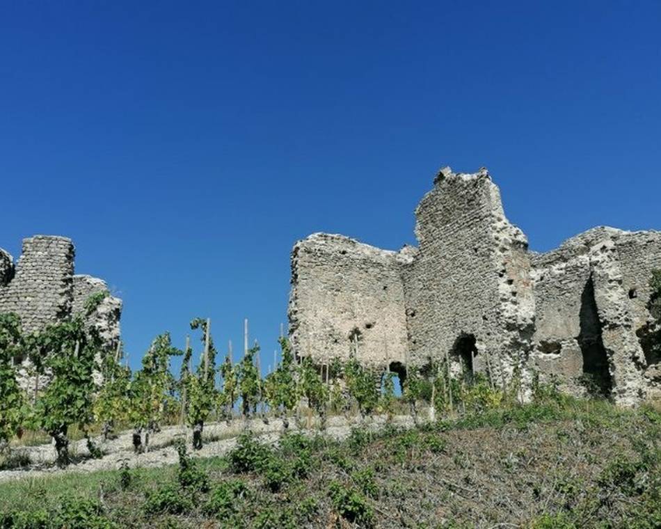 Visite commentée des carrières de Kaolin - Journées Européennes du Patrimoine