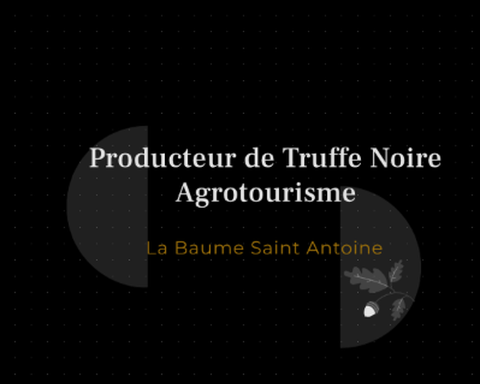 Découverte de la Truffe Noire en Drôme des Collines