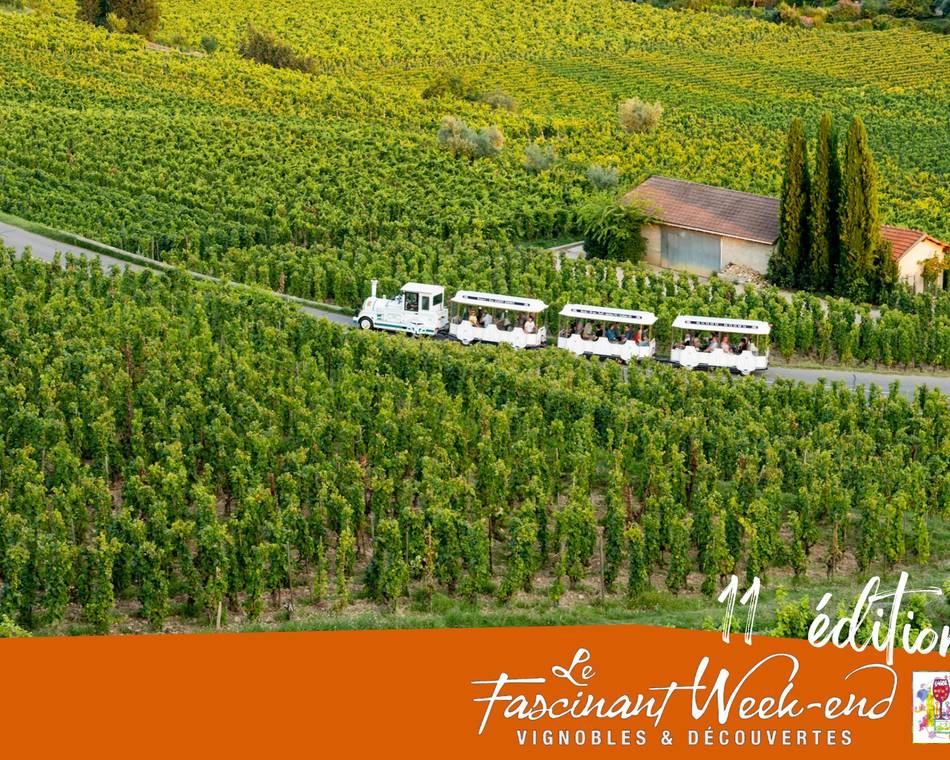 Petit Train dans les Vignes, visites et dégustations en famille