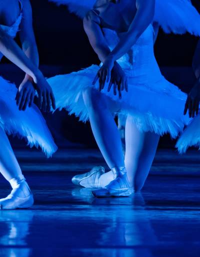 image-Spectacle "Le lac des cygnes"  - Saison spectacles Théâtre Jacques Bodoin