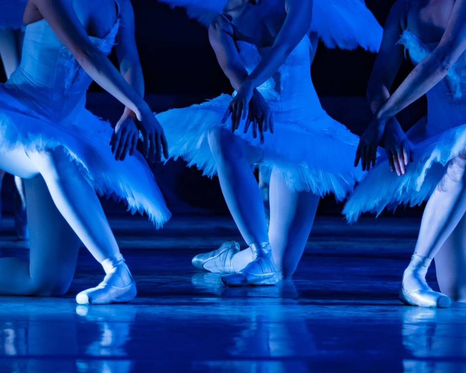 Spectacle "Le lac des cygnes"  - Saison spectacles Théâtre Jacques Bodoin