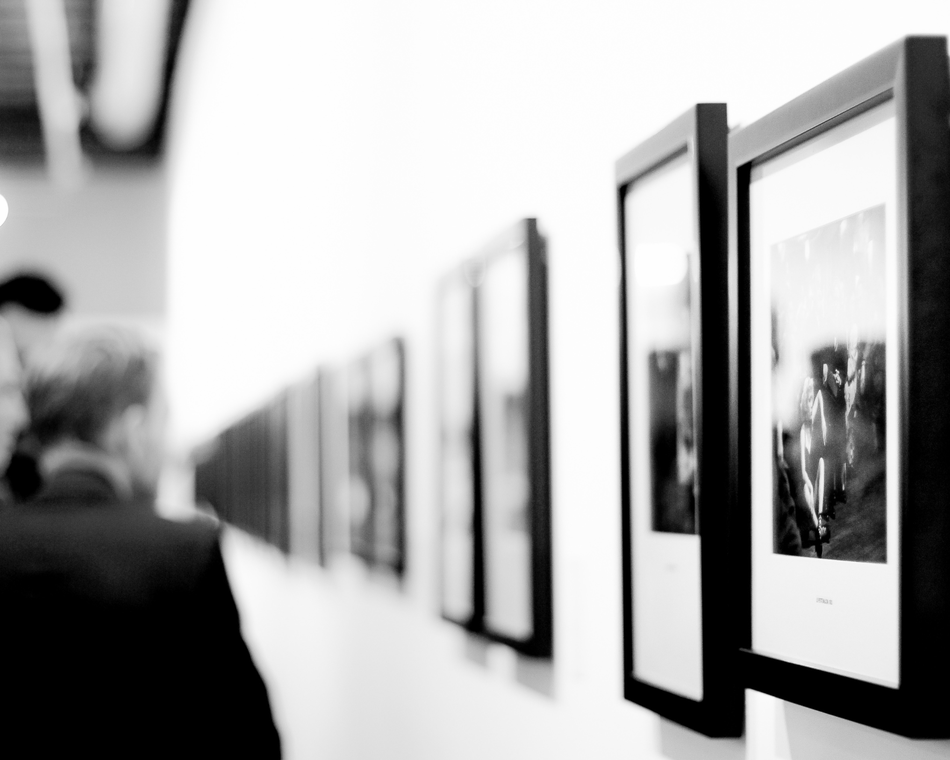 Exposition "ACADIA" - Cité du Chocolat