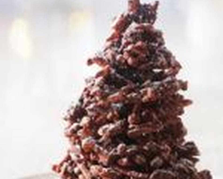 Sapins rochers festifs - Noël à la Cité du Chocolat