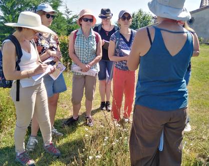 Balade botanique et atelier avec La magie des plantes