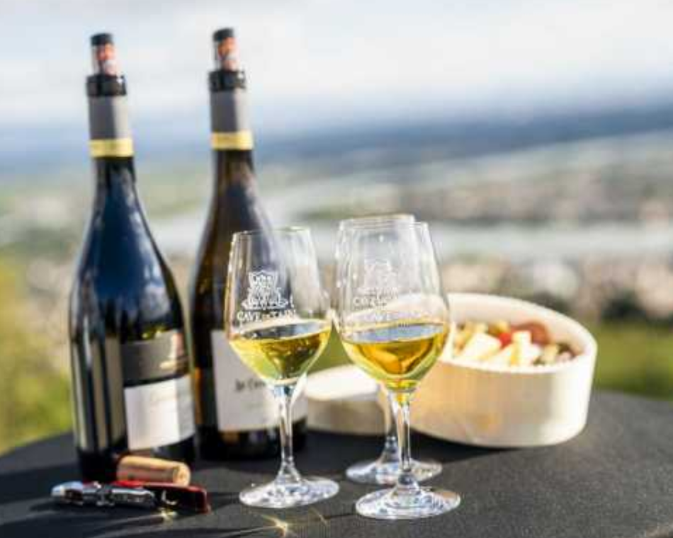 Dégustation au sommet de la Colline de l'Hermitage - Terre de Syrah