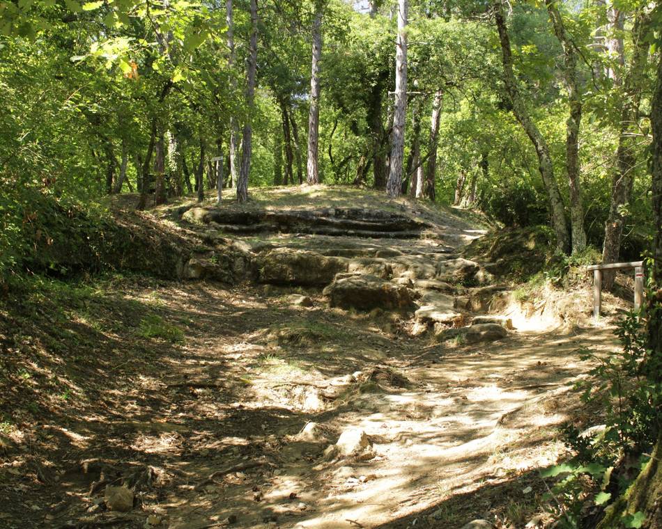 Du bois de Sizay à Champos