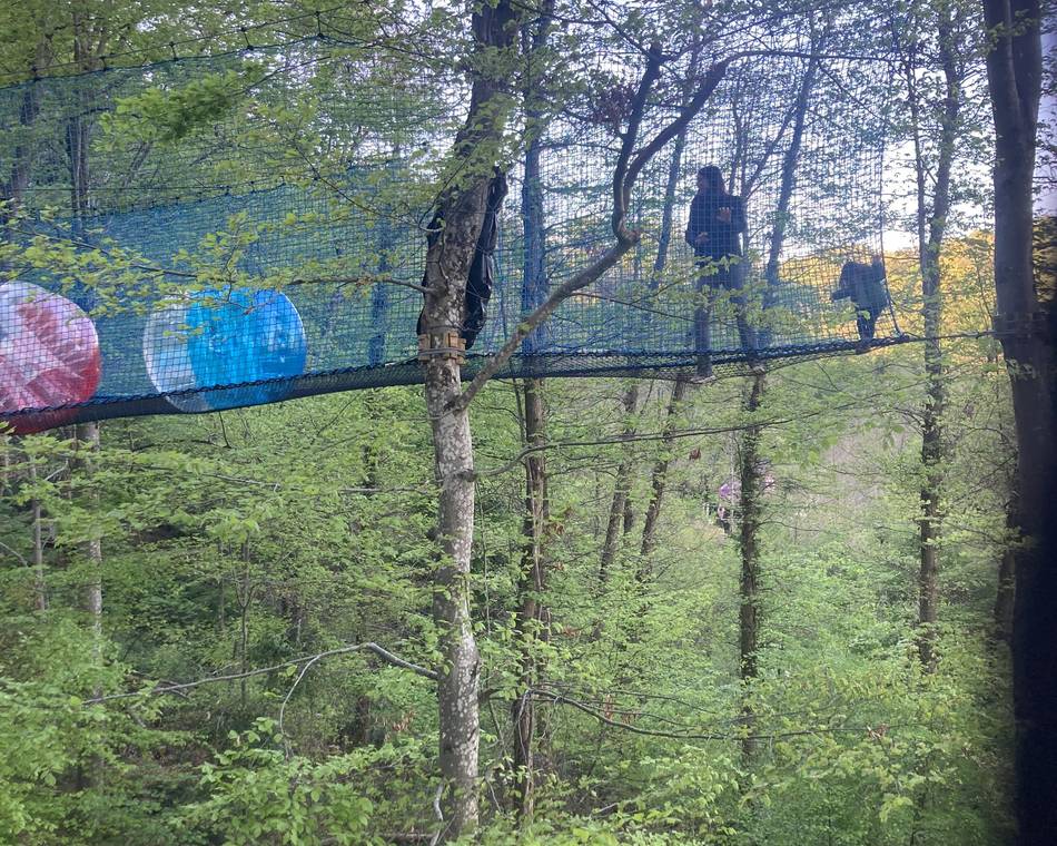 La Forêt des Champos
