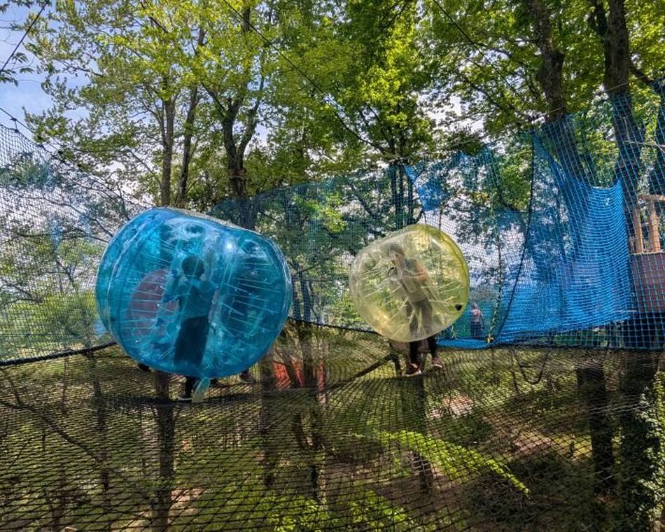 La Forêt des Champos