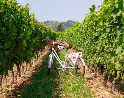 Pass producteurs avec Wine and Ride