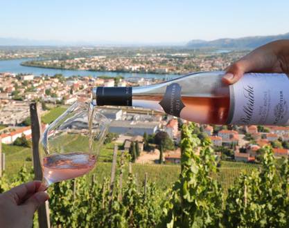 Wine & Barbecue Workshop - M. CHAPOUTIER