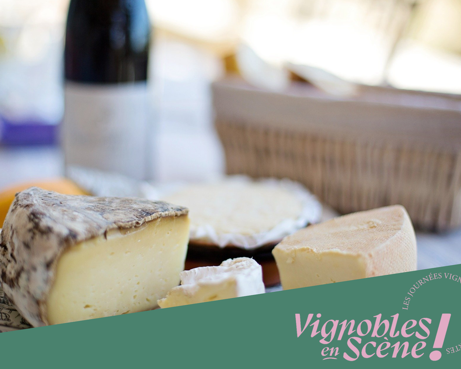Dégustation Vin & Fromage - Terres de Syrah