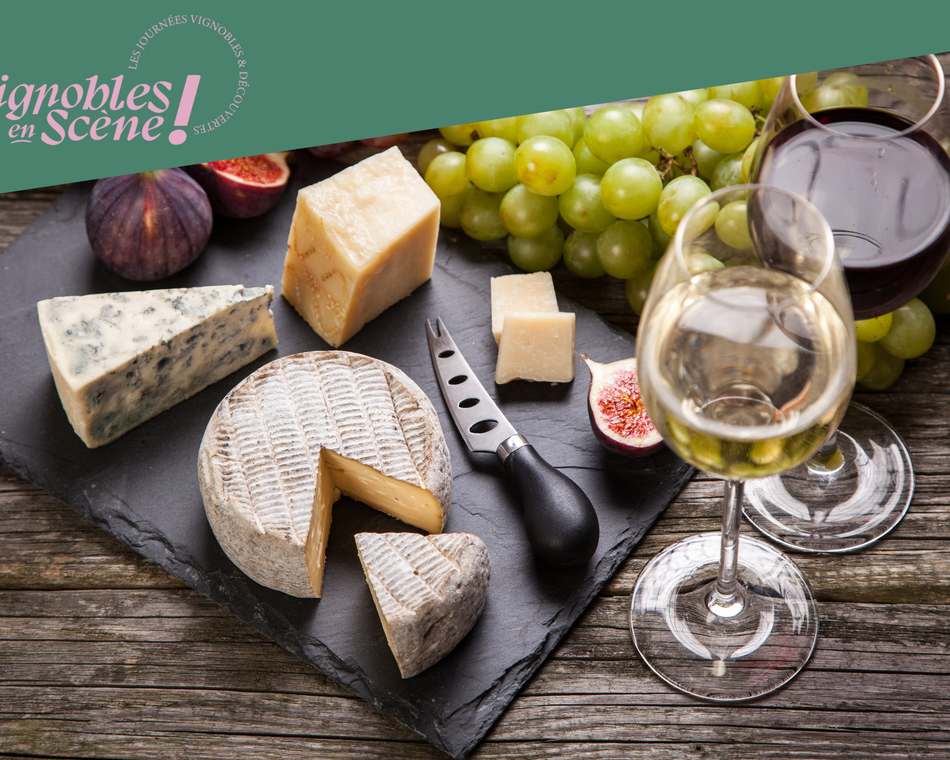 Dégustation Vin & Fromage - Terres de Syrah