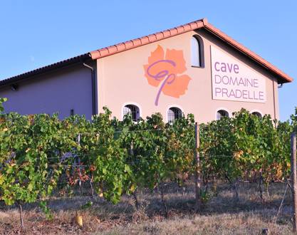 Vineyard aperitif at Domaine Pradelle