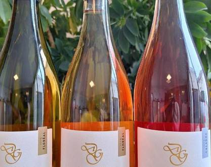 Vineyard aperitif at Domaines des Granges