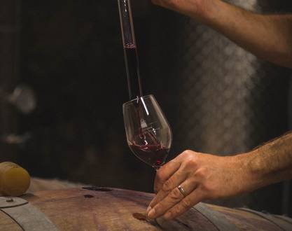 Vineyard aperitif at Domaine Luyton Fleury