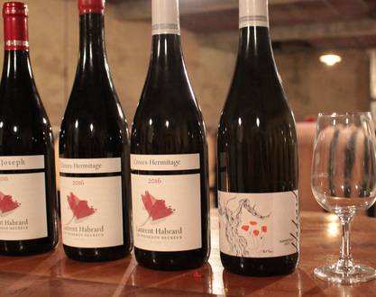 Vineyard aperitif at Domaine L.Habrard