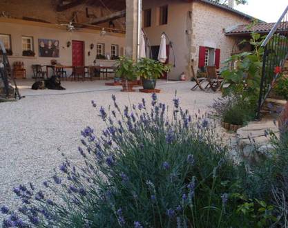 Ferme Robin - Gîte Naja