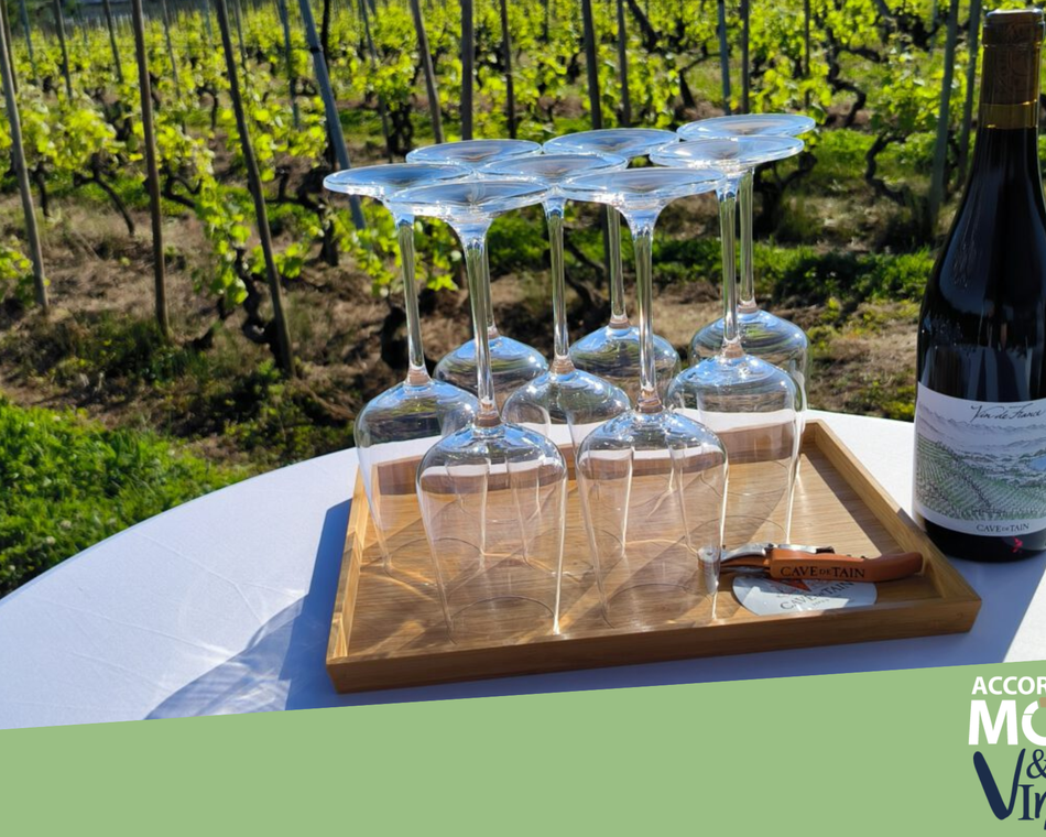 Atelier d'auto-massage et dégustation de vin dans les vignes
