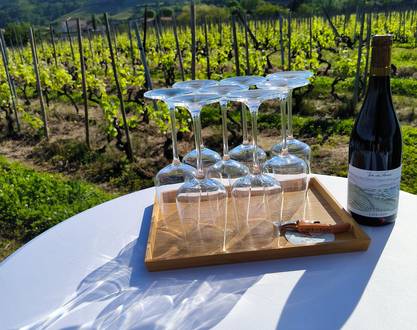 Gha Sha protocol workshop-beauty tools and wine tasting