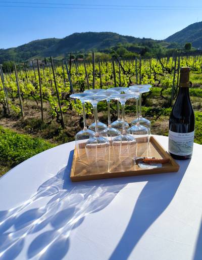 image-Atelier liftant visage ventouse "cupping" et dégustation de vin