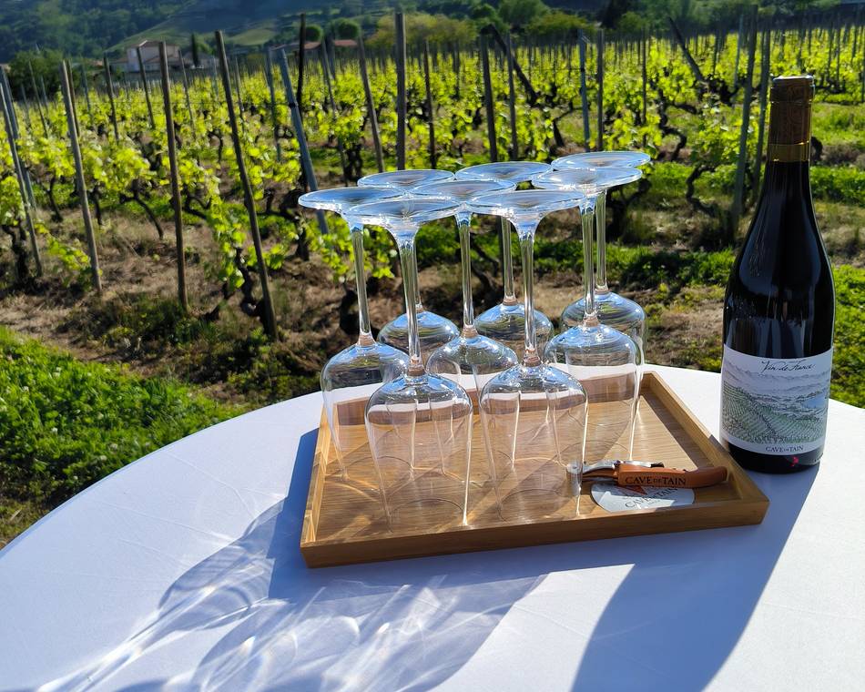 Atelier liftant visage ventouse "cupping" et dégustation de vin